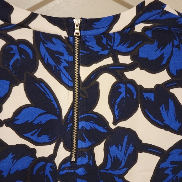 Blue Ivy Shell - Picture 5 of 7